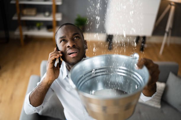 Best Flooded house restoration  in Adrian, MN