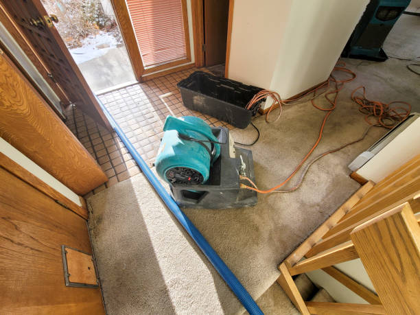 Best Ceiling water damage repair  in Adrian, MN