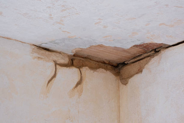 Best Water damage restoration cost  in Adrian, MN