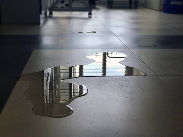 Best Water damage restoration near me  in Adrian, MN