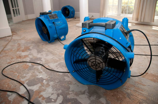 Best Commercial water damage restoration  in Adrian, MN
