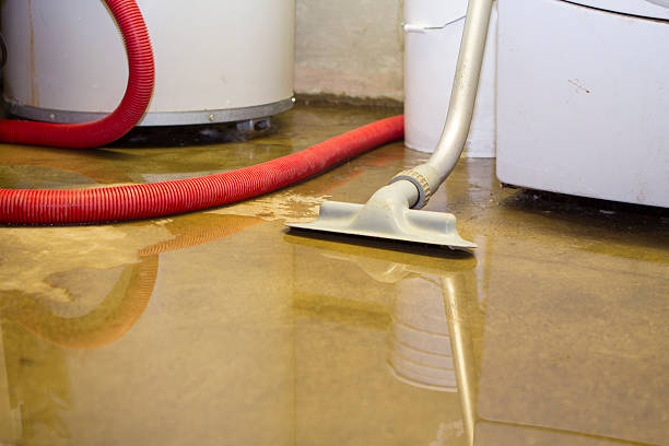 Best 24/7 water damage repair  in Adrian, MN