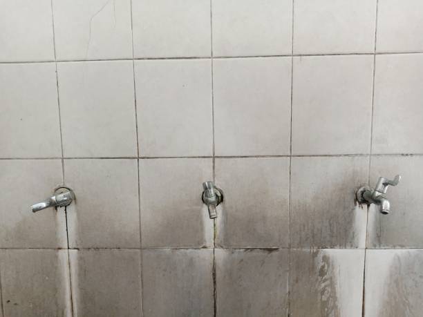 Best Flood damage cleanup  in Adrian, MN