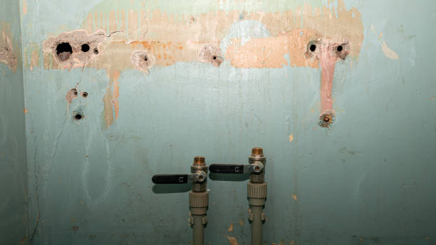 Best Water damage contractors near me  in Adrian, MN