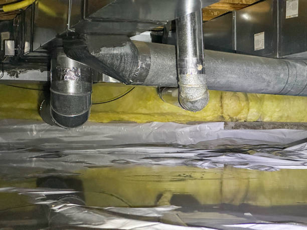 Best Mold removal after water damage  in Adrian, MN