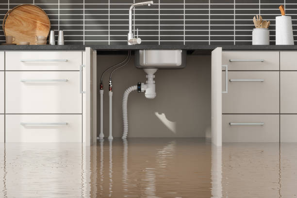 Best Flood restoration services  in Adrian, MN