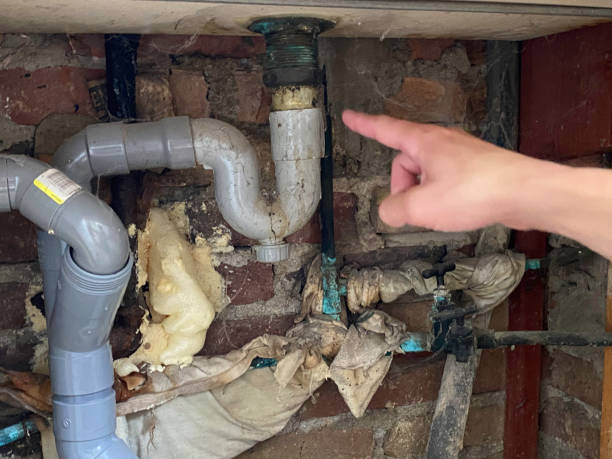 Best Ceiling water damage repair  in Adrian, MN