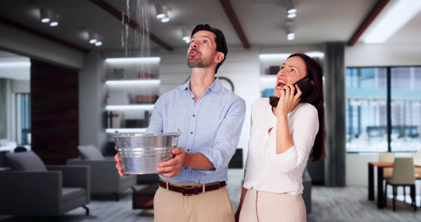 Best Local water damage restoration  in Adrian, MN